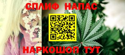 Альфа ПВП Нальчик