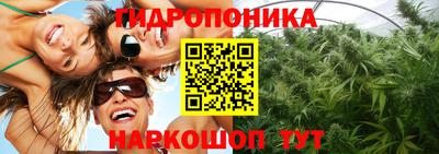 Альфа ПВП Нальчик