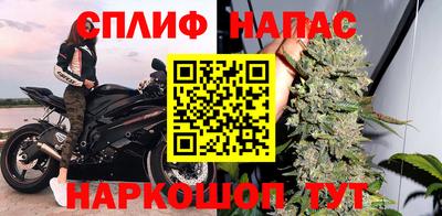 Альфа ПВП Нальчик