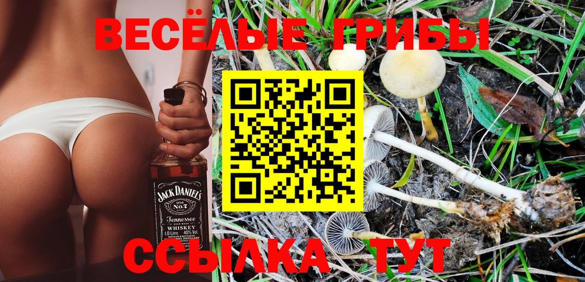 Галлюциногенные грибы MAGIC MUSHROOMS  Вход с VPN  Тихорецк 