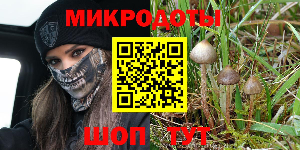 Галлюциногенные грибы мицелий Тихорецк